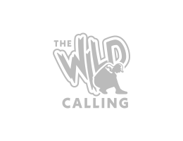 the wild calling logo gray